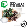 green coffee powder extract chlorogenic acid 25%-98%